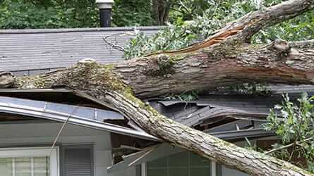 Grant's Roofing and Construction Storm Damage